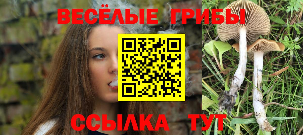 Бошки Шишки  Вейп ТГК  Нарткала  ГАШ  Мефедрон   Вход с VPN  Кокаин  НБОМе 