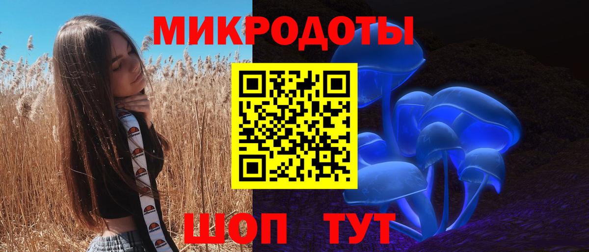 Галлюциногенные грибы Cubensis  Вход с VPN  Нарткала 